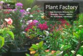 Plant Factory Thrissur