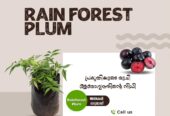 Plant Factory Thrissur