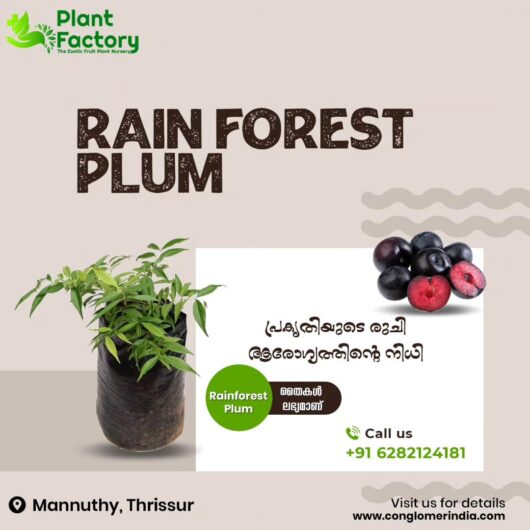 Plant Factory Thrissur