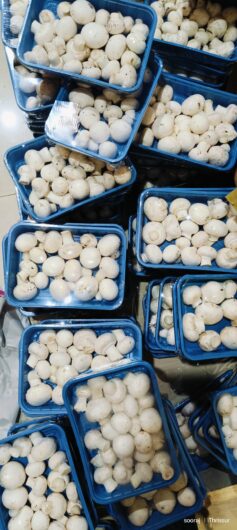 Button Mushrooms