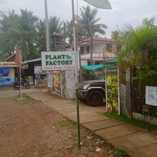 Plant Factory – Vellanikkara Thrissur
