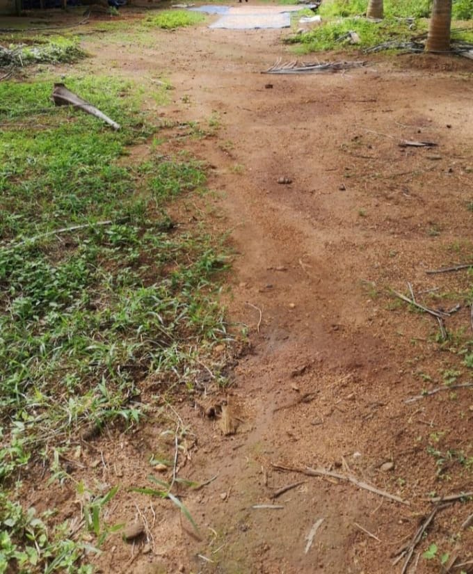 Agricultural land for sale in Chelakkara, Thrissur Kerala