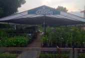 Aiswarya Garden Madakkathara Thrissur