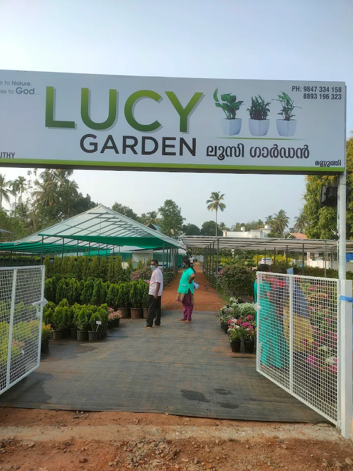 Lucy Garden – Plants Nursery in Mannuthy, Thrissur