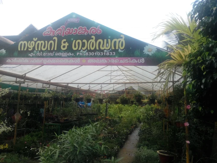 Kuttiyankal Nursery & Garden