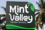 Mint Valley Garden