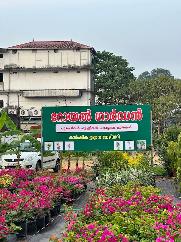 Royal Garden Nursery