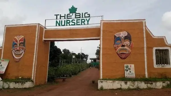 The Big Nursery
