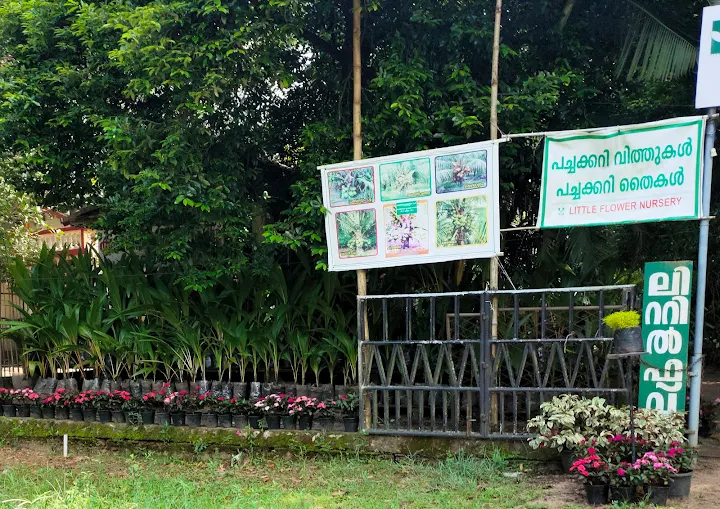 Little Flower Nursery
