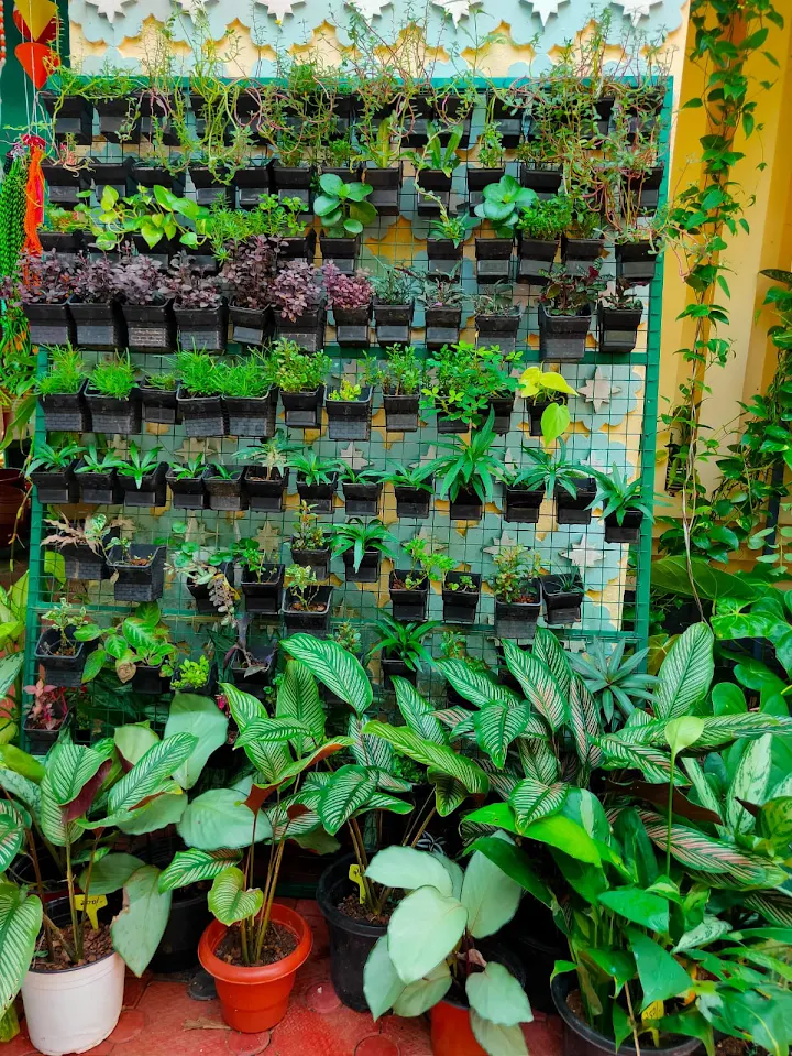 Green Dale Plants and Pots