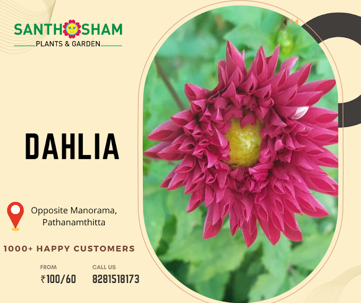 Santhosham Plants and Garden