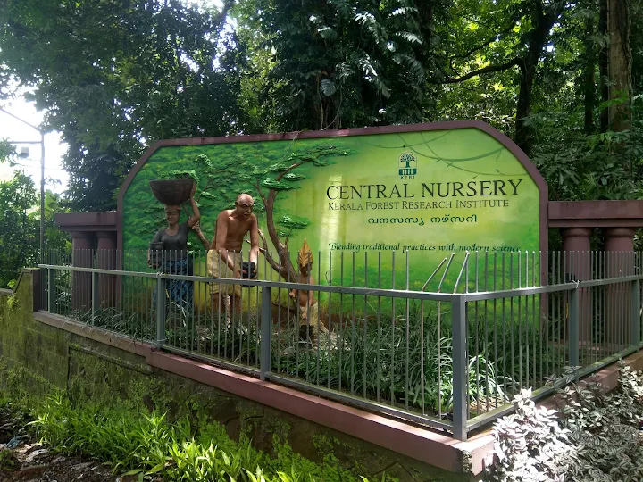 KFRI Central Nursery Peechi